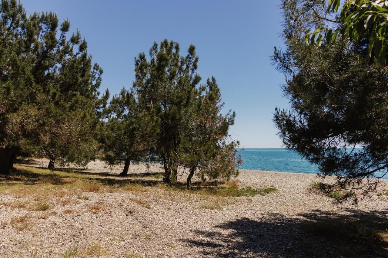 Hotel Talion, Pitsunda Lidzava Dış mekan fotoğraf